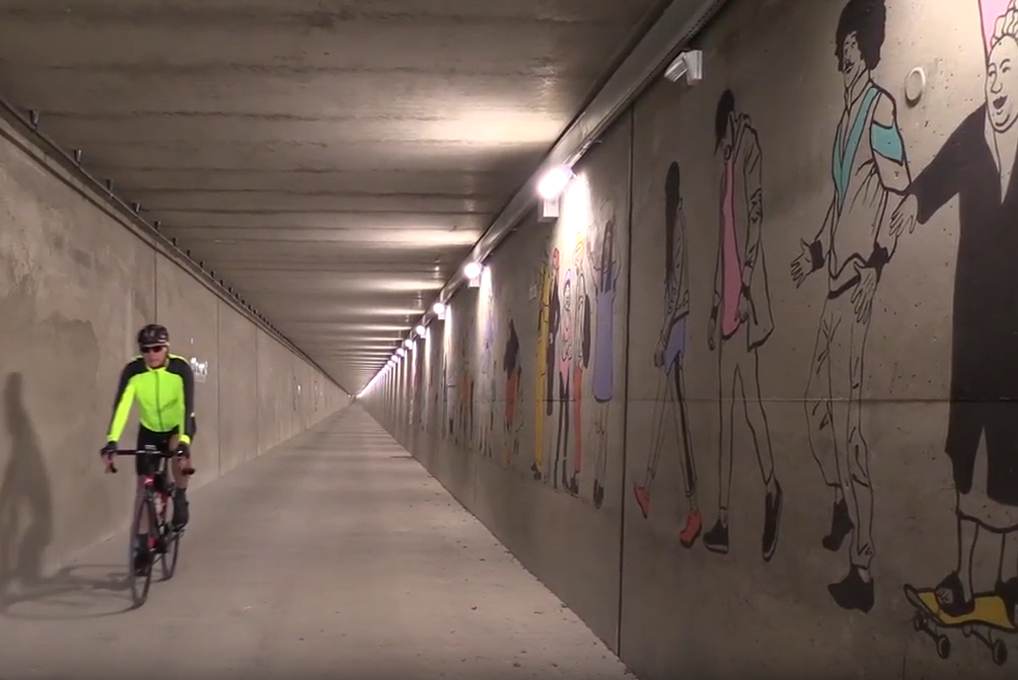 Galerie De Securite Du Tunnel Chat Collection Completee Savoie Fr