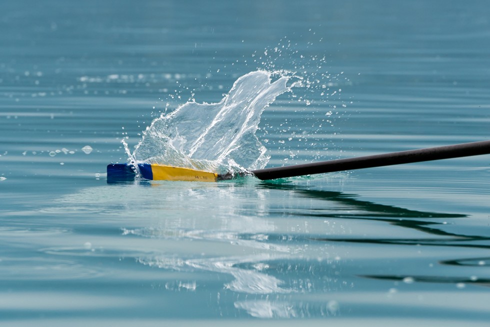 Une rame dans l'eau