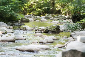 Un cours d'eau en Savoie