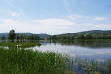 Une vue du marais