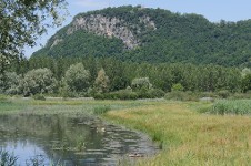 Une vue du marais