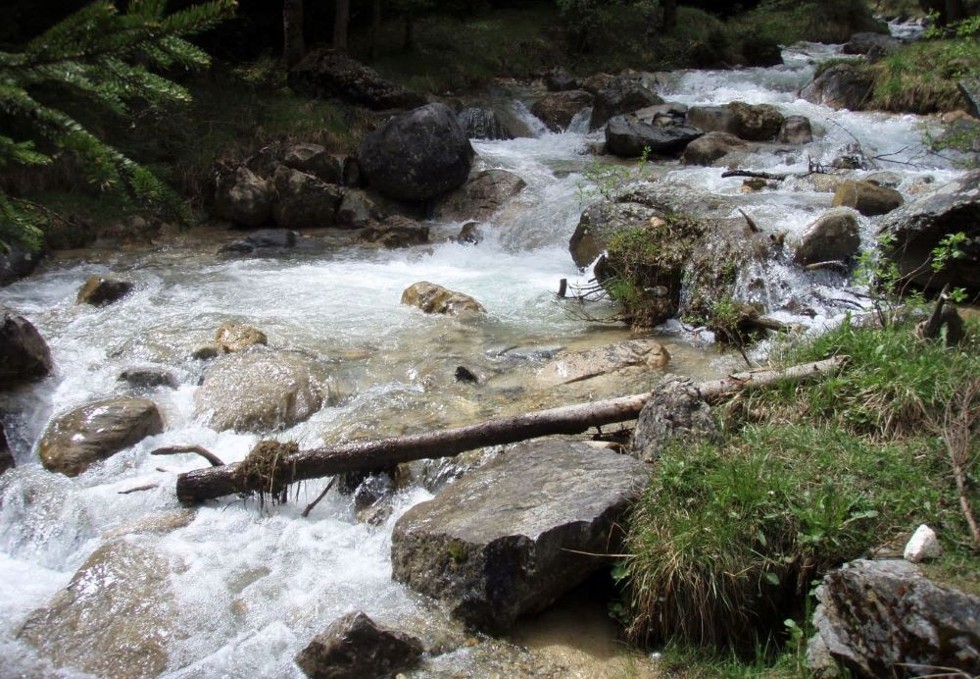 La photo montre un cours d'eau