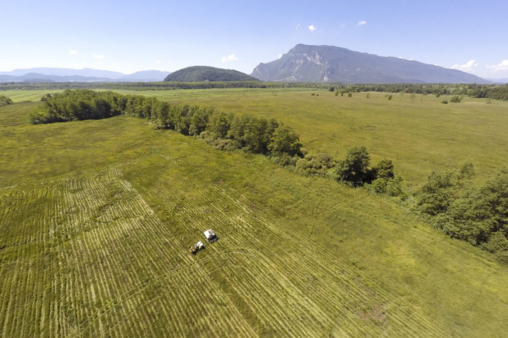 2020 11 Marais Chautagne CCenSavoie 1020