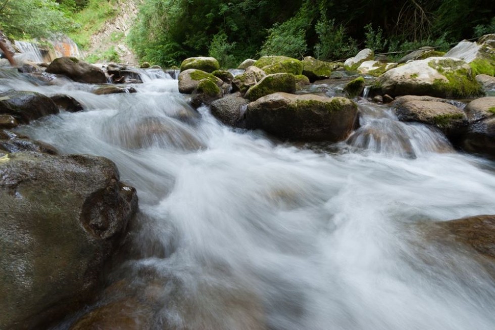 L'image montre un cours d'eau