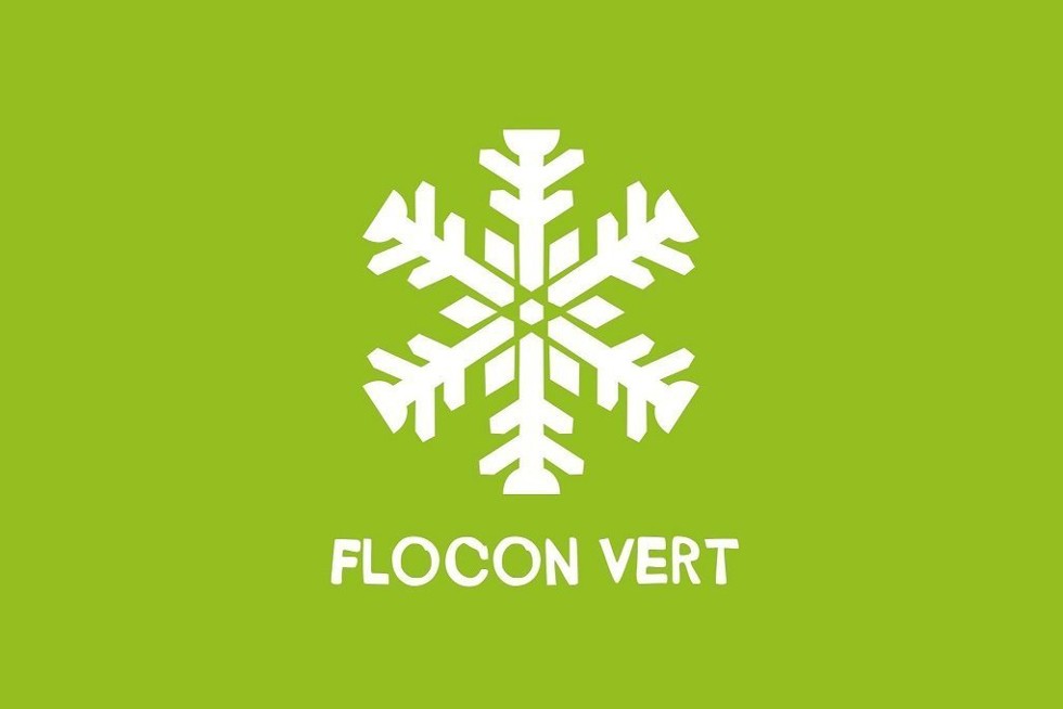 Logo flocon vert