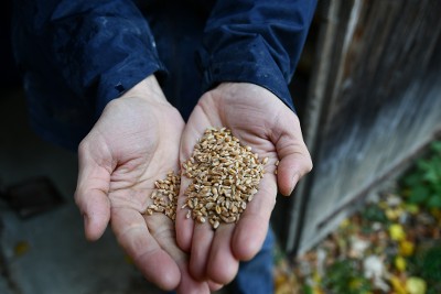 La tit ferme Crédit L. Bonnel