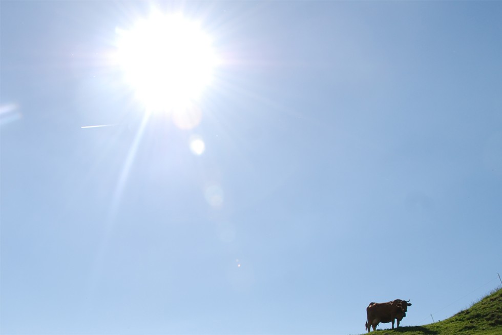 Le soleil dans le ciel