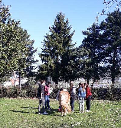 séance CDJ du 31 mars 2021