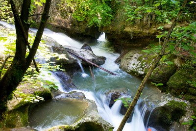 Les gorges de Sierroz : détail de la rivière