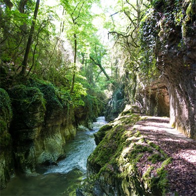 les gorges du Sierroz