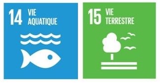 2021-Biodiversité©Nations unies