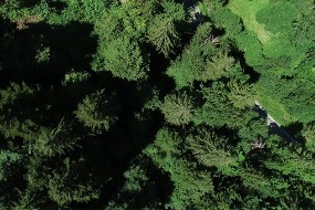 Foret des Bauges vue du ciel