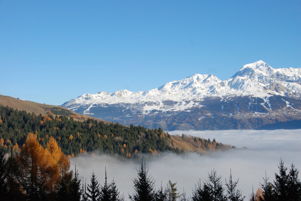 Paysage montagnard