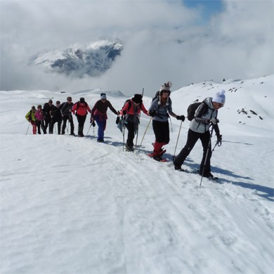 Un groupe de personnes âgées en randonnée hivernale