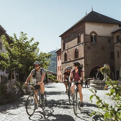 Des cyclistes sur une route