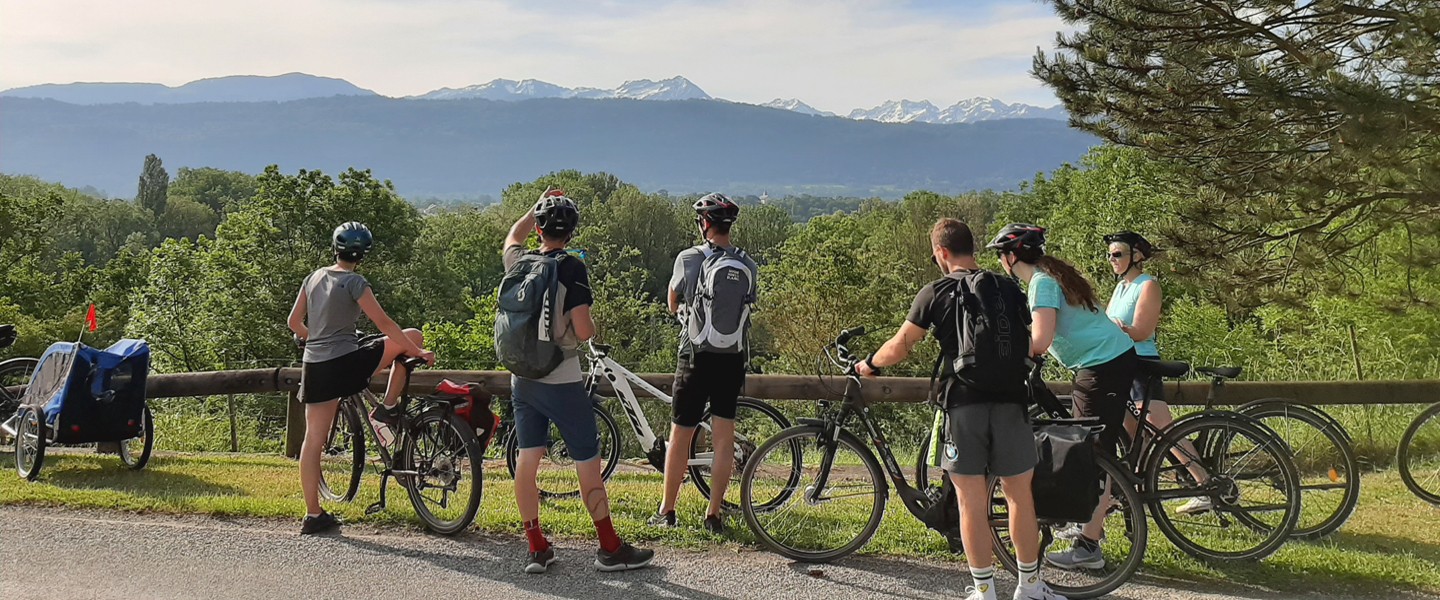 Des cyclistes sur une route