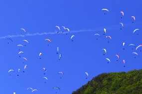 Des parapentes dans le ciel
