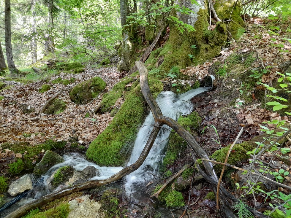 Trop plein du captage de la Touvière à Jarsy