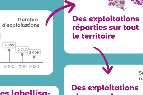 Extrait de l'infographie