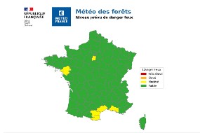 Extrait d'une carte quotidienne de la météo des forêts