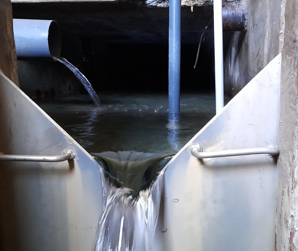 Trop plein de la source de La Plagne à Entremont le Vieux