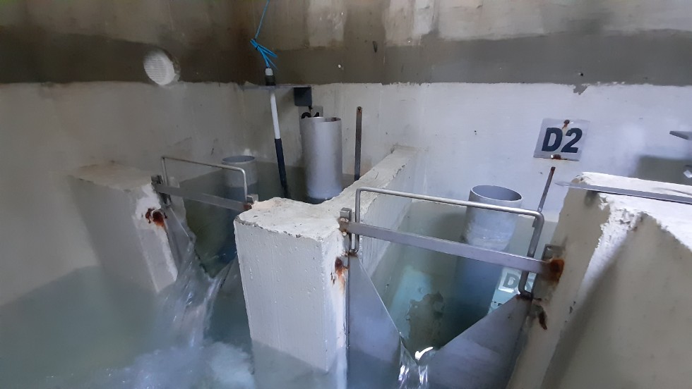 Mesures de débit à la source de la Fromentière - St Paul-sur-Yenne _ juillet 2023
