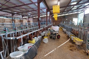 Vue intérieure de la ferme