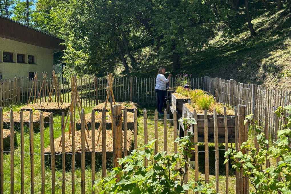 2024 06 Jardin 4 saisons 1020
