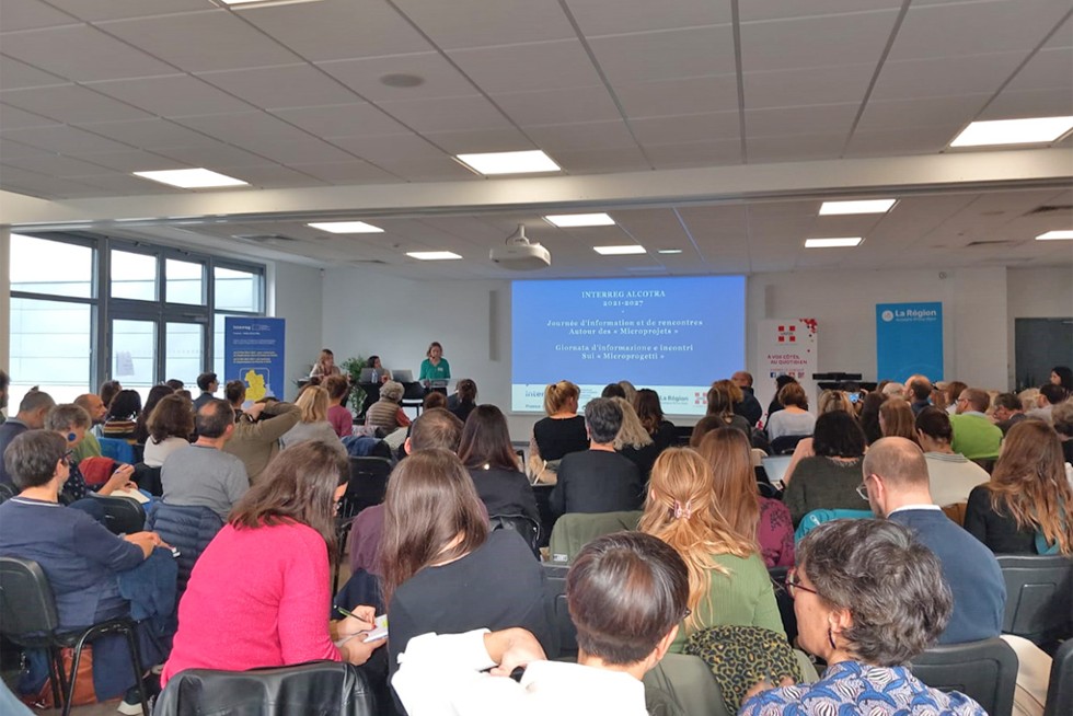 Les professionnels réunis en atelier