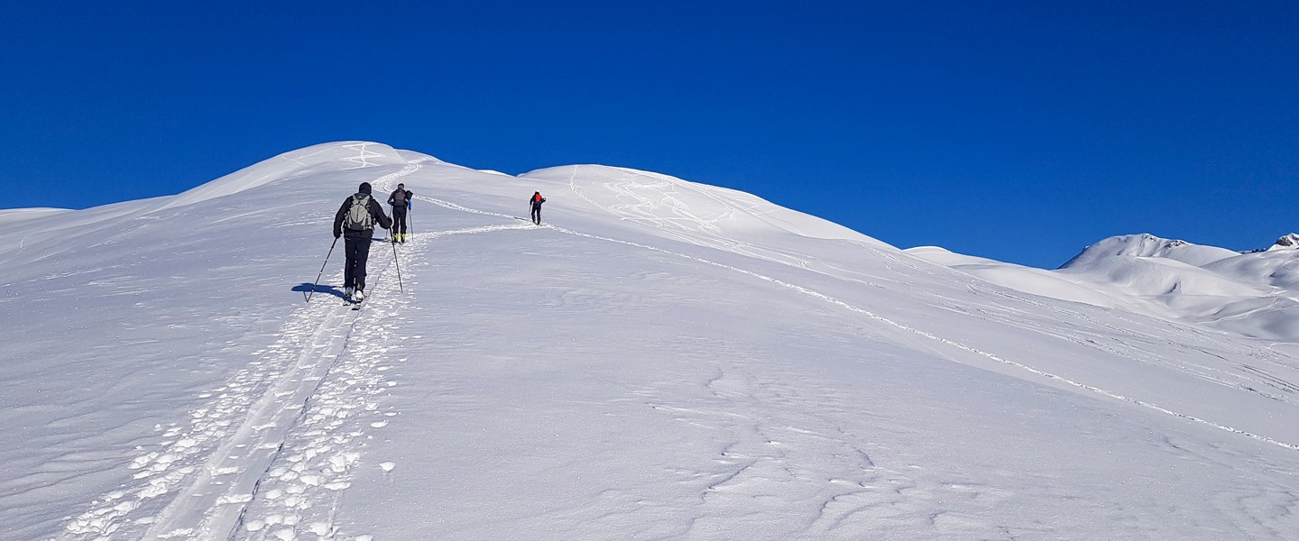 Des randonneurs à ski
