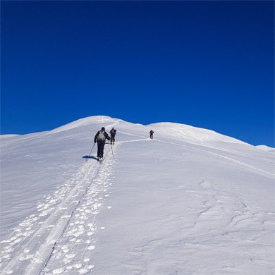 Des randonneurs à ski