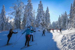 des jeunes faisant du ski de fond