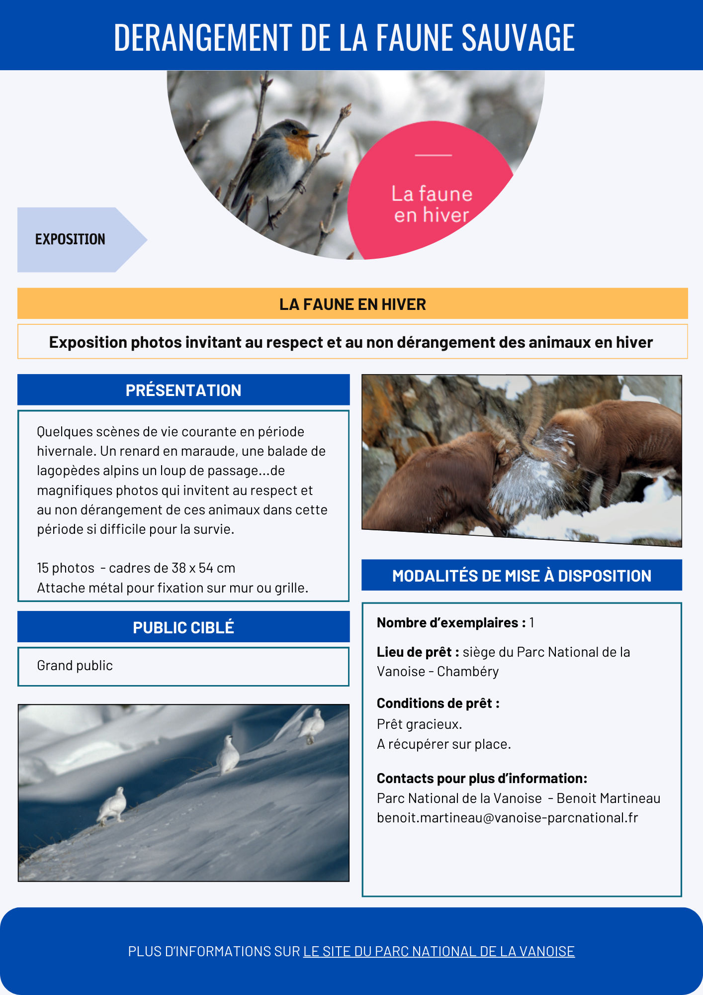 Expo La faune en hiver