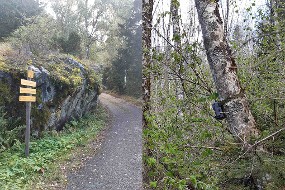 Vue du chemin et d'une caméra