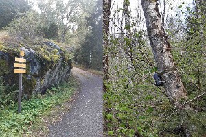 Vue du chemin et d'une caméra