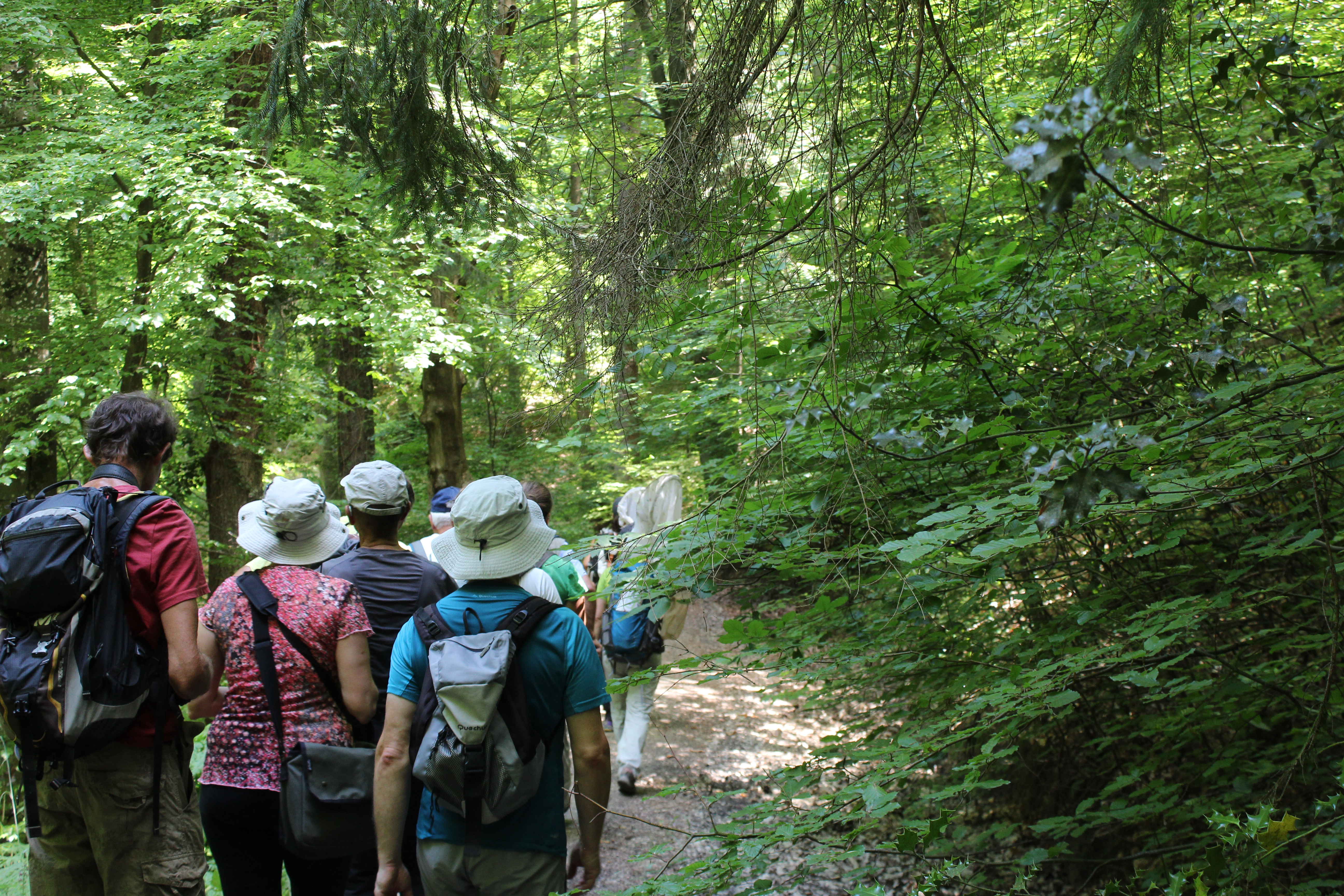 Observatoire-biodiversité-2020