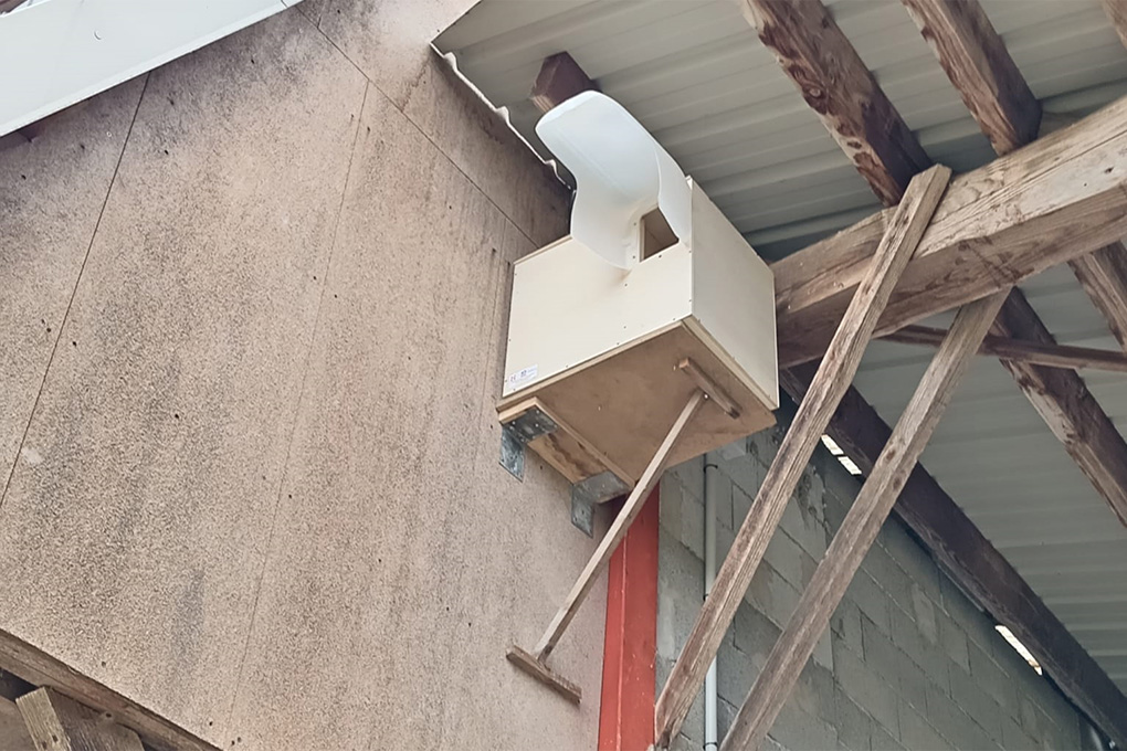 2025 10 Nichoirs 1020