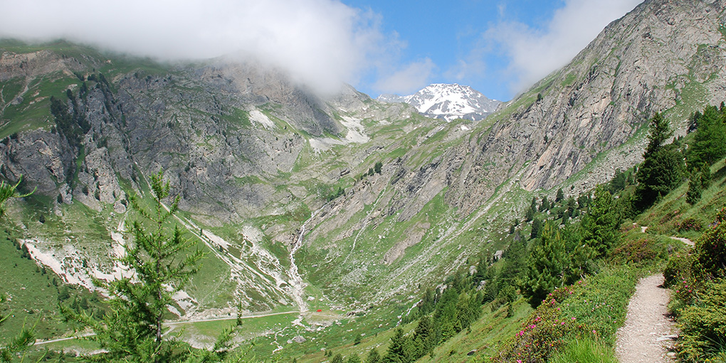 2025 11 Environnemenrt 2 1020