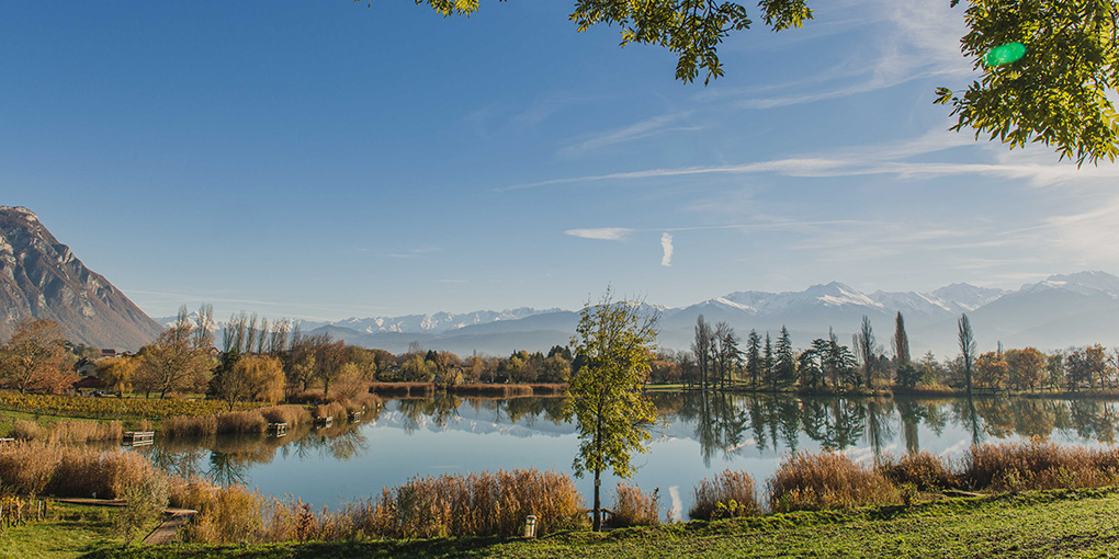 2025 11 Espace naturel CEveHilaire 1020