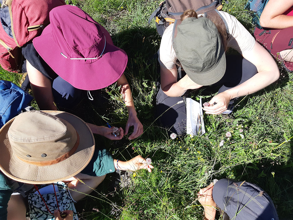 20240704 171737 copie