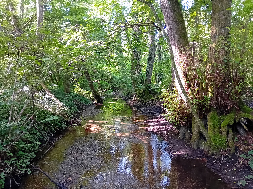 20250612 094908 copie