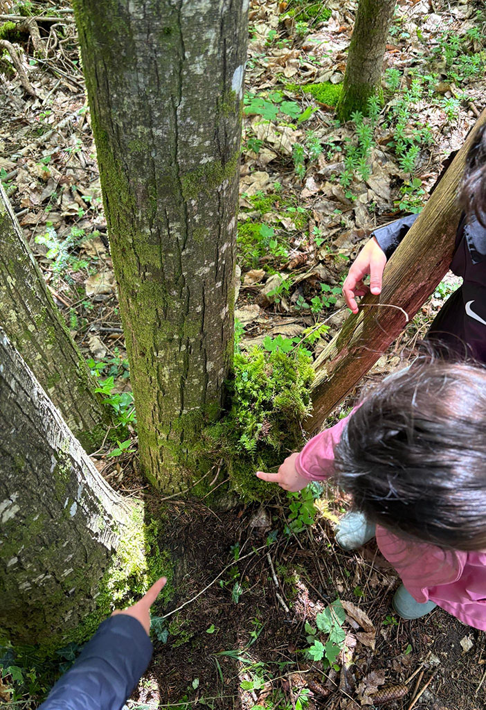 438089890 421979600681886 6195782207084723118 n copie