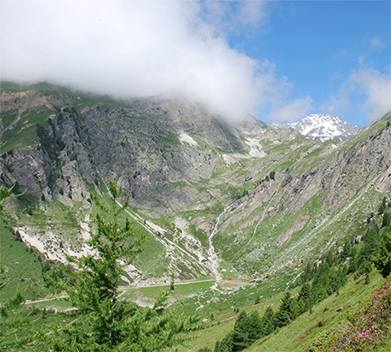 Des métiers du Département