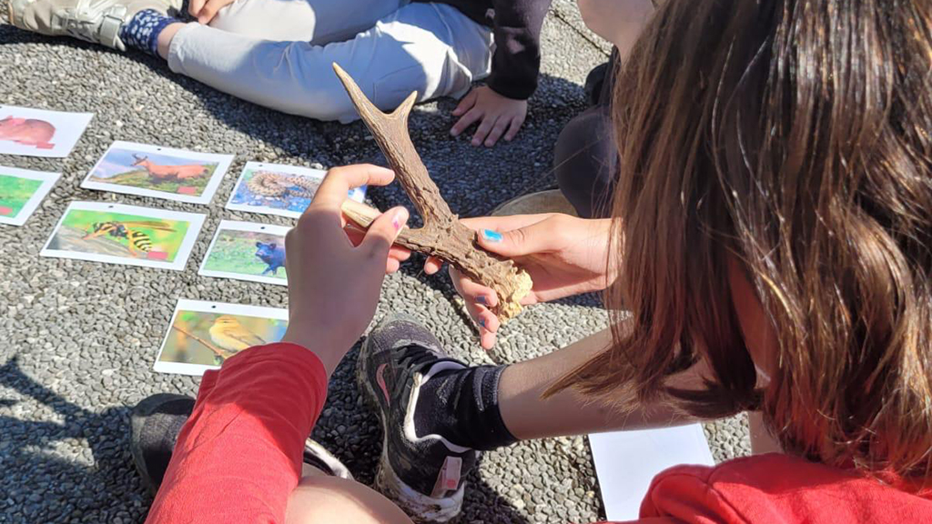 IMG-20250828-WA0003 copie