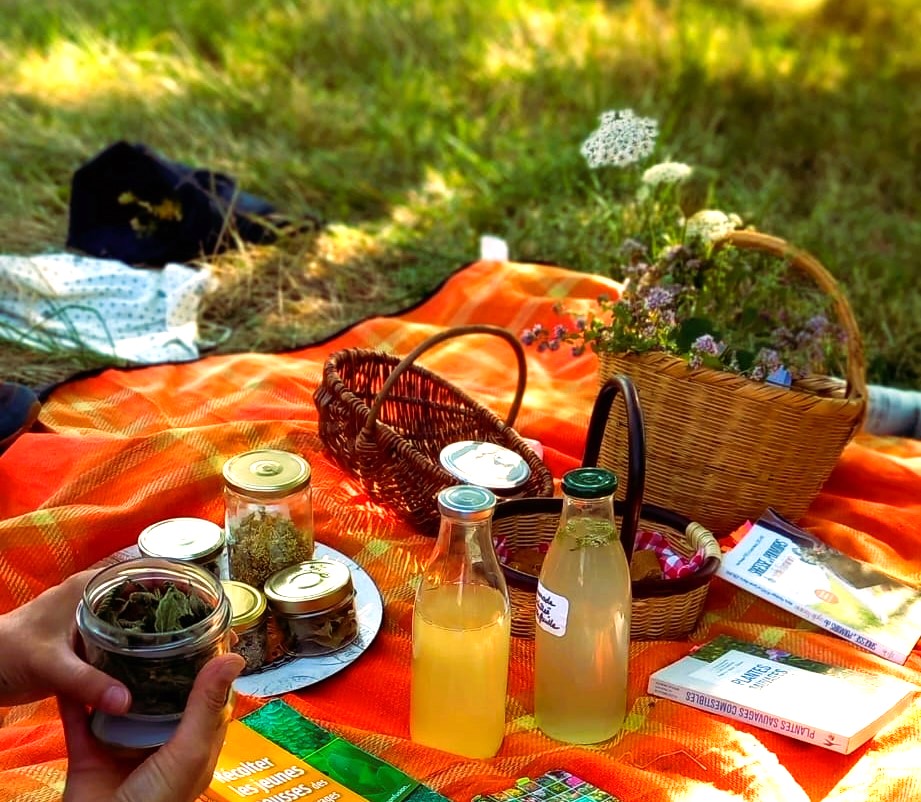 Muriel Lallée dégustation boissons sauvages 1