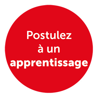 2026 01 Apprentissage 315