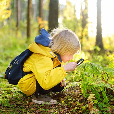 Un enfant regarde une fougère à la loupe