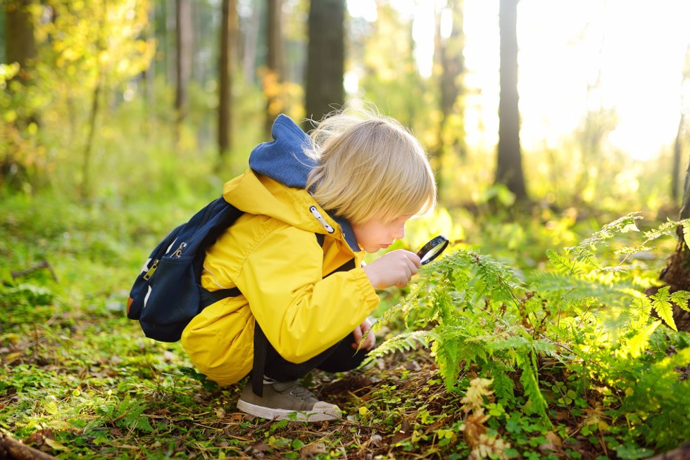 Un enfant regardant la nature à la loupe