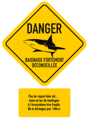 Requin déconseillé total