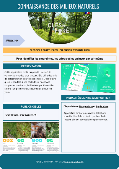 Les clés de la forêt